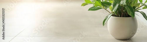 Obraz na płótnie A serene indoor scene featuring a potted plant with lush green leaves, placed on a light-colored floor, creating a calming atmosphere. w salonie