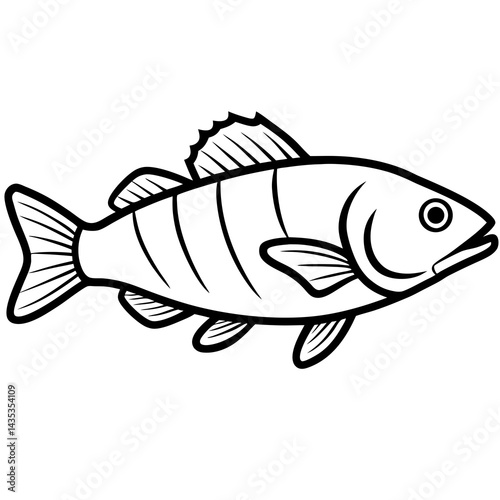 Minimal Barramundi Fish Vector on White