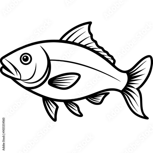 Minimal Barramundi Fish Vector on White