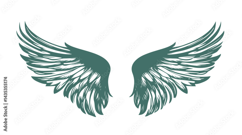 Obraz premium Angel wings, sketch, vector 