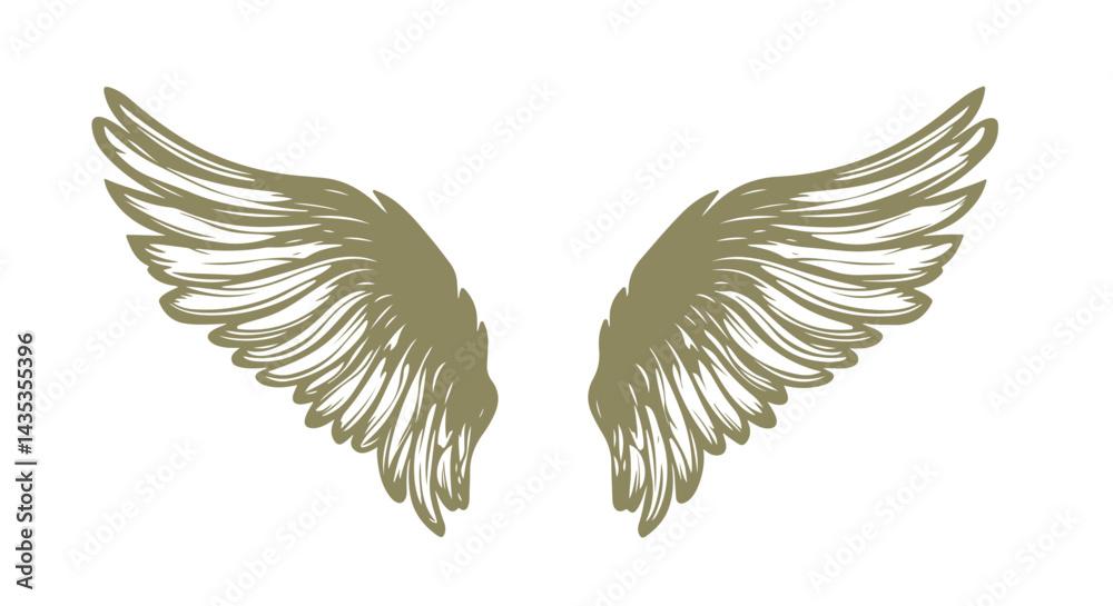 Fototapeta premium Gold Angel wings, sketch, vector 