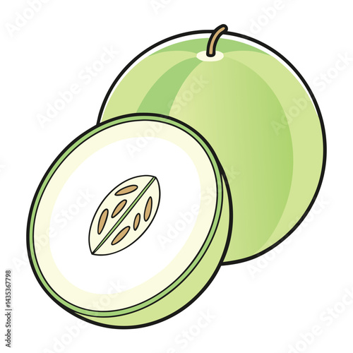 Green Melon with Half Slice