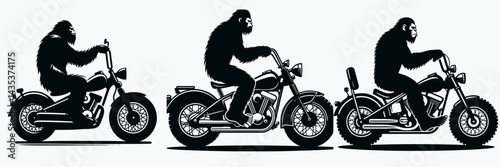 Bigfoot ride a classic motorcycle. Sasquatch cartoon clipart. Hairy hominid piloting vintage motorbike folklore adventure on two wheels.