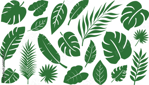 Tropical Green Leaves Collection

