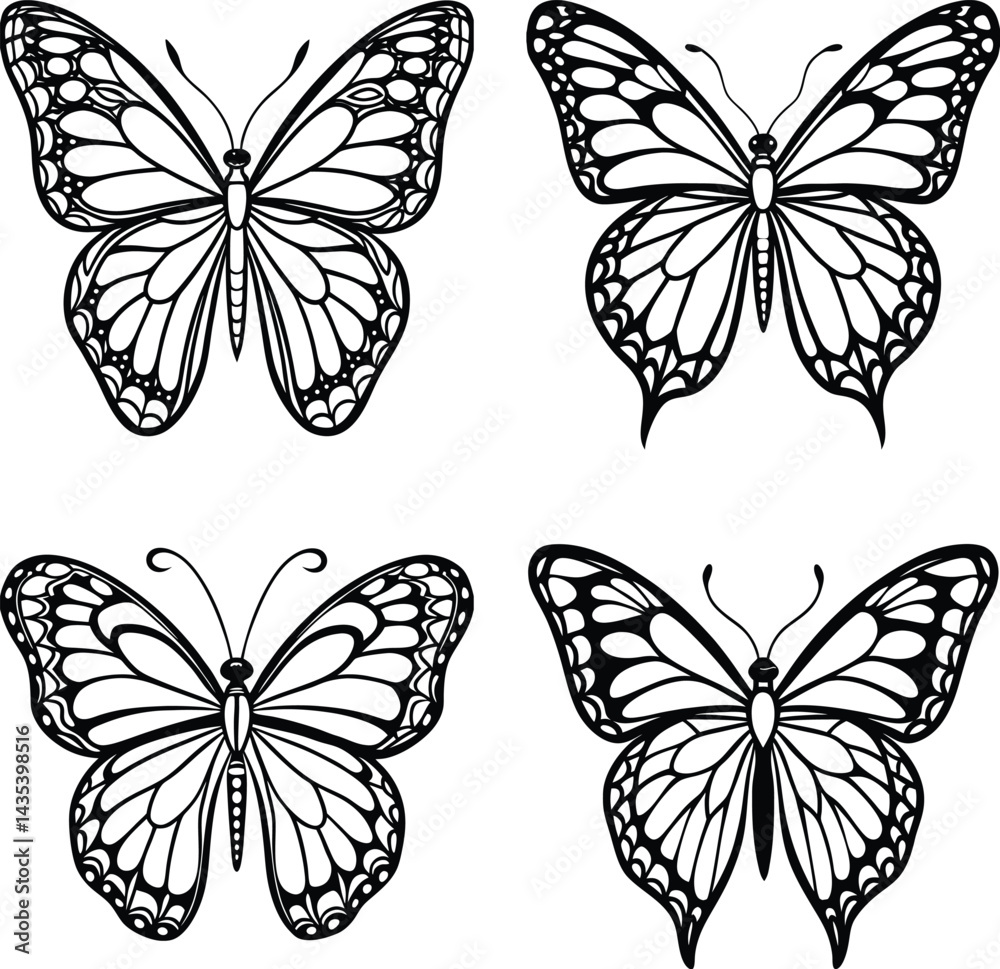 Obraz premium Butterfly set elegant detailed black and white outlines for design projects