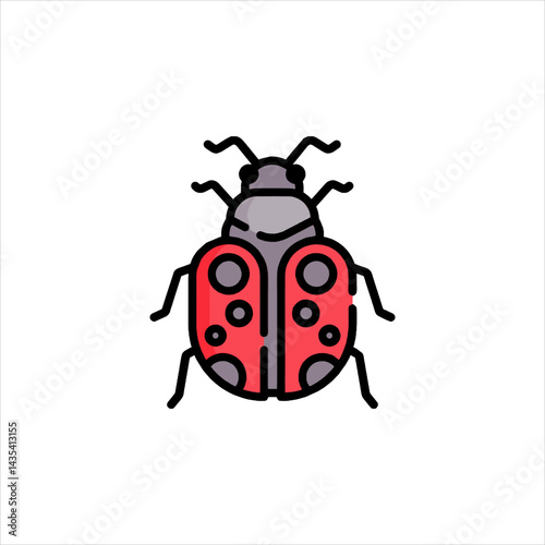 ladybug on white background
