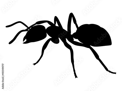 ant silhouette vector for educational visuals, pest control branding, web graphics, and creative design
