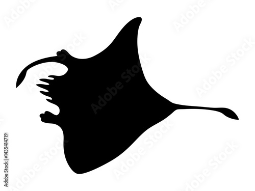 anglerfish silhouette vector for deep-sea wildlife, marine branding, web graphics, educational visuals, and creative design
