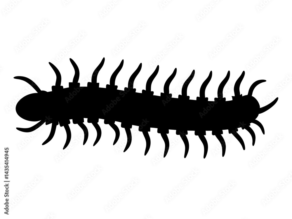 Obraz premium centipede silhouette vector for pest control branding, educational visuals, web graphics, and creative design 