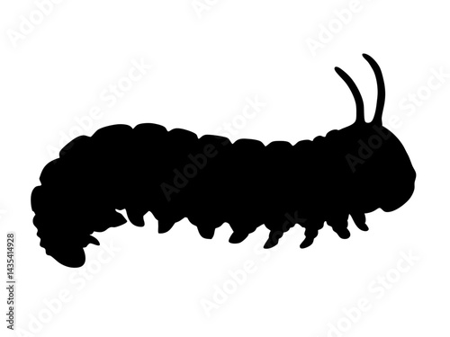 caterpillar silhouette vector for educational visuals, entomology designs, branding, web graphics, and creative projects
