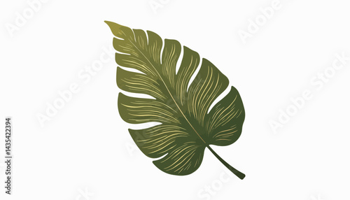 Intricate green leaf illustration on white background, botanical design