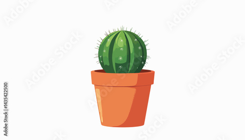 Vibrant cactus in terracotta pot on white background, home decor