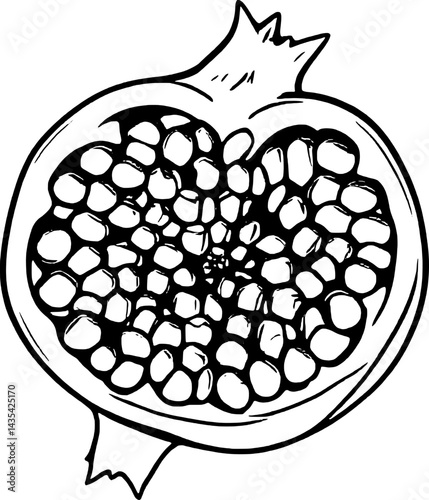 Detailed Black And White Line Art Depicting A Cut Pomegranate Fruit With Seeds Inside