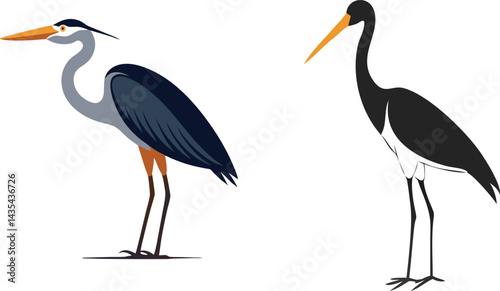 heron bird silhouette stork silhouette black vector illustration