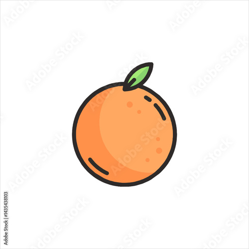 orange fruit vector illustration