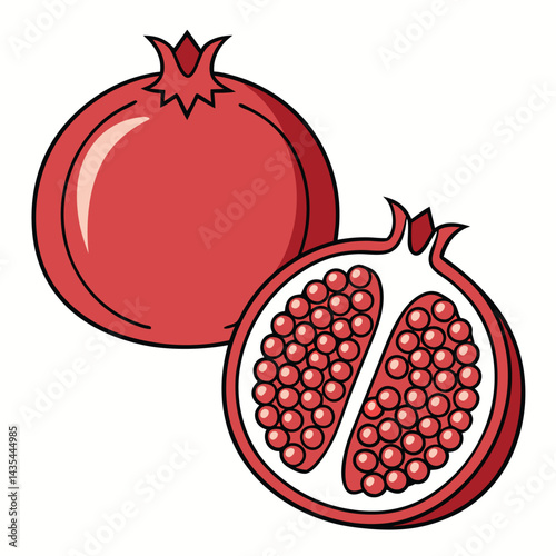 Pomegranate fruit illustration