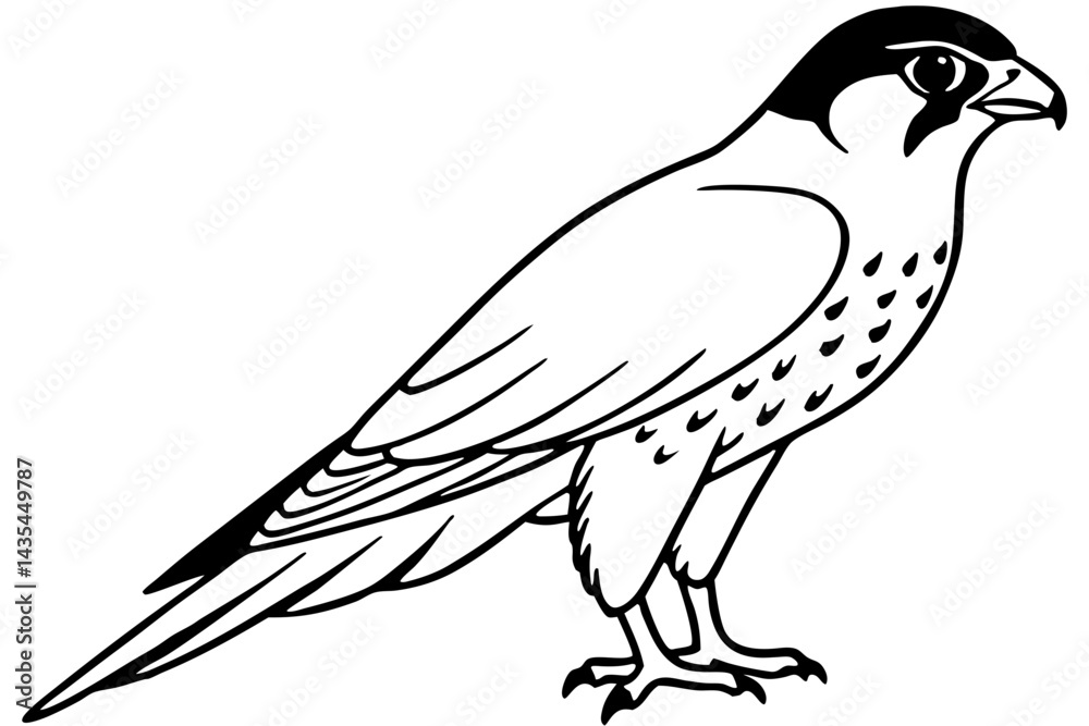 Naklejka premium Falcon vector illustration line art and white background
