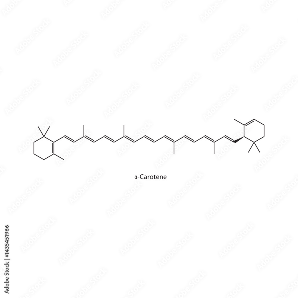 Naklejka premium α-Carotene skeletal structure. Carotenoid compound schematic illustration. Simple diagram, chemical formula.