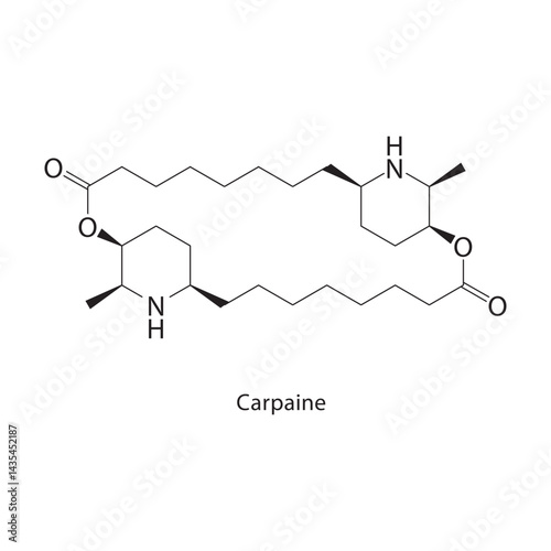 Carpaine skeletal structure. Alkaloid compound schematic illustration. Simple diagram, chemical formula.