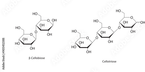 β-Cellobiose skeletal structure. Disaccharide compound schematic illustration. Simple diagram, chemical formula.