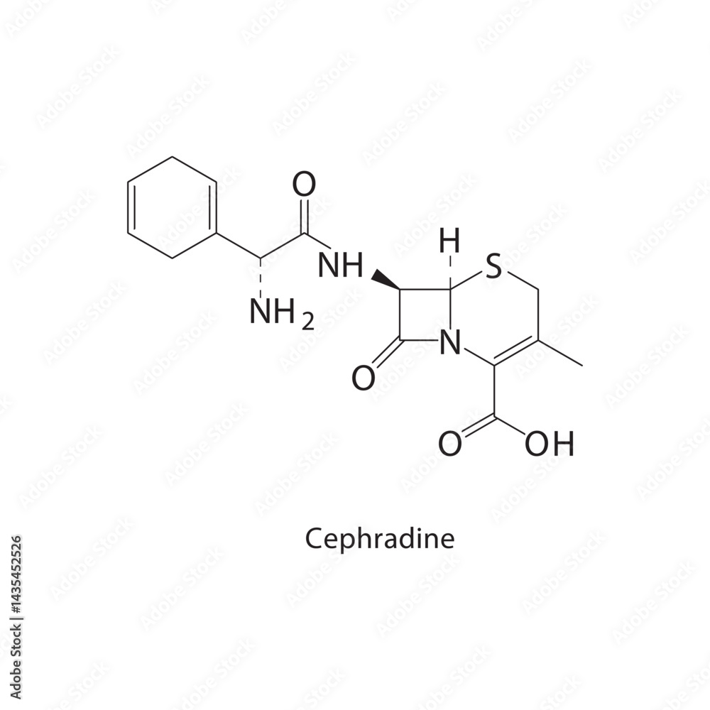 Fototapeta premium Cephradine skeletal structure. Cephalosporin antibiotic compound schematic illustration. Simple diagram, chemical formula.