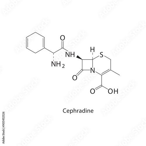 Cephradine skeletal structure. Cephalosporin antibiotic compound schematic illustration. Simple diagram, chemical formula.