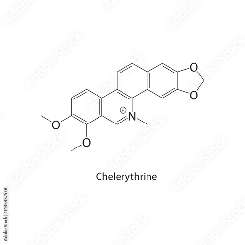Chelerythrine skeletal structure. Isoquinoline alkaloid compound schematic illustration. Simple diagram, chemical formula.