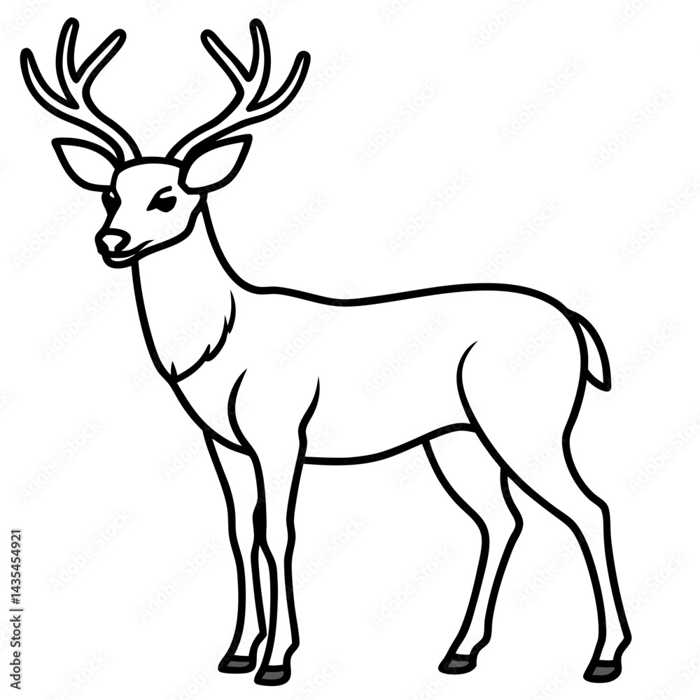 Deer vector illustration line art and white background Deer vector illustration line art and white background