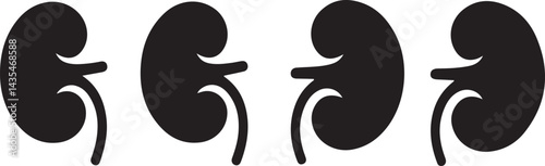 black and white different kidneys icon set silhouette vector