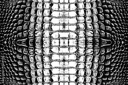 Symmetrical Crocodile Leather Texture Vector in Black and White