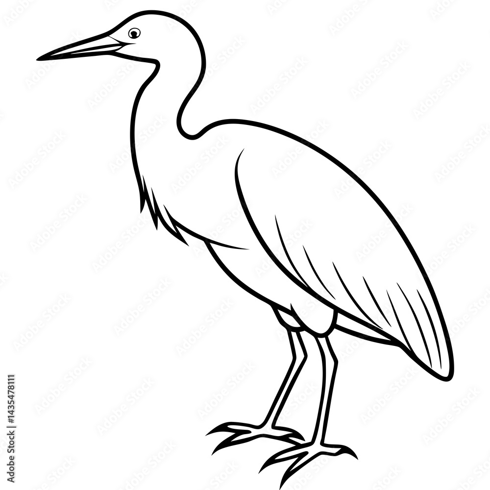 Obraz premium Minimal Cattle Egret Vector on White
