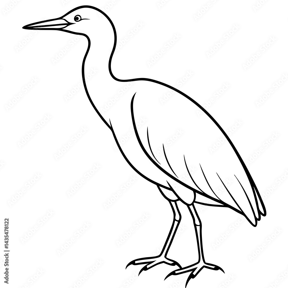 Fototapeta premium Minimal Cattle Egret Vector on White