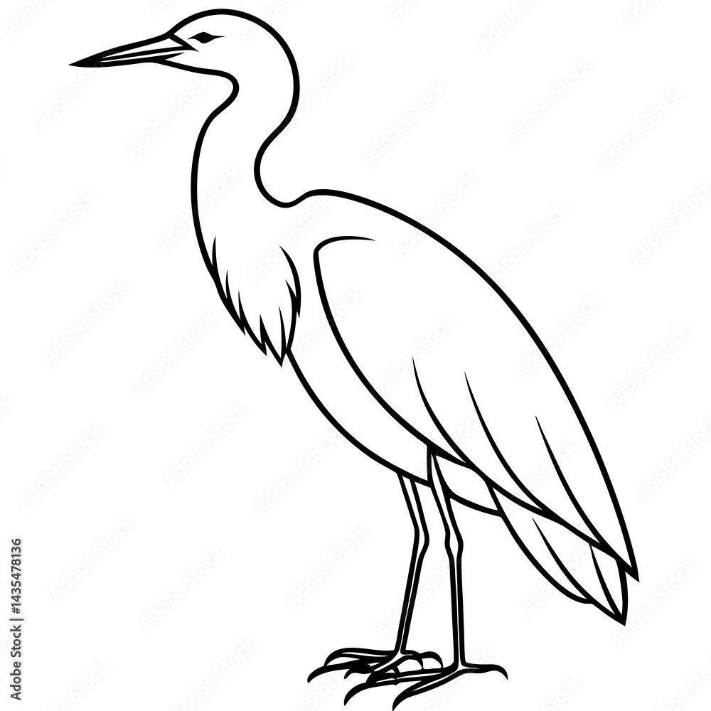 Fototapeta premium Minimal Cattle Egret Vector on White