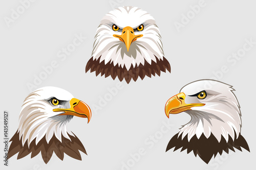 Bald eagle head portrait from a realistic (Haliaeetus leucocephalus) brown and white
