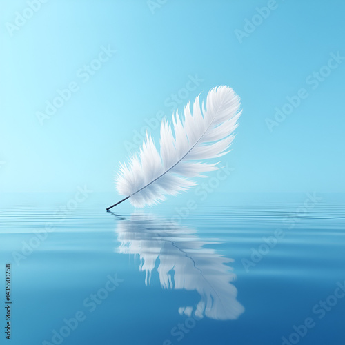 Obraz na płótnie white feather on blue background w salonie