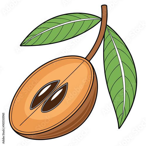 Cut Open Exotic Fruit with Leaves