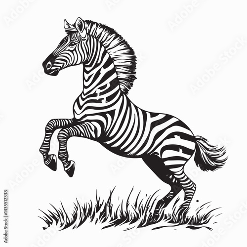 Zebra standing on its hind legs in a field of tall grass Image vector isolated on white background