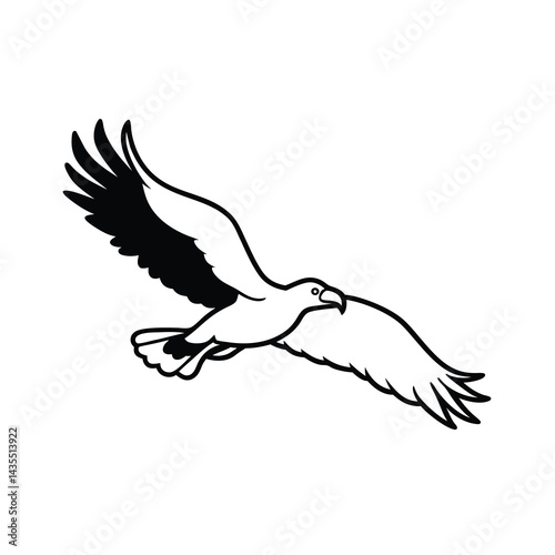 Vulture in Mid Flight Vector Detailed Wing Design