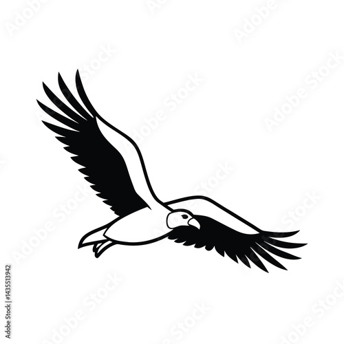 Vulture in Mid Flight Vector Detailed Wing Design