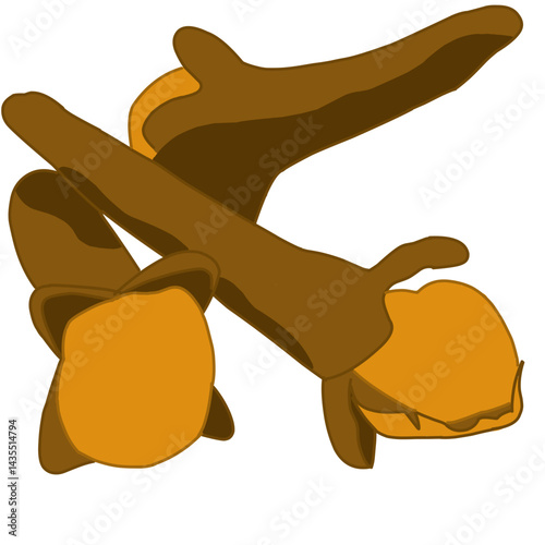 Illustration of cloves with a bold, stylized design, featuring two dried flower buds in rich brown and orange tones on a white background
