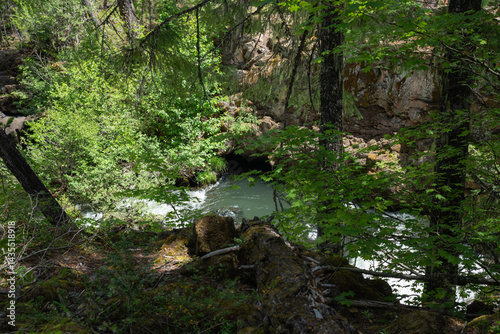 Rogue River