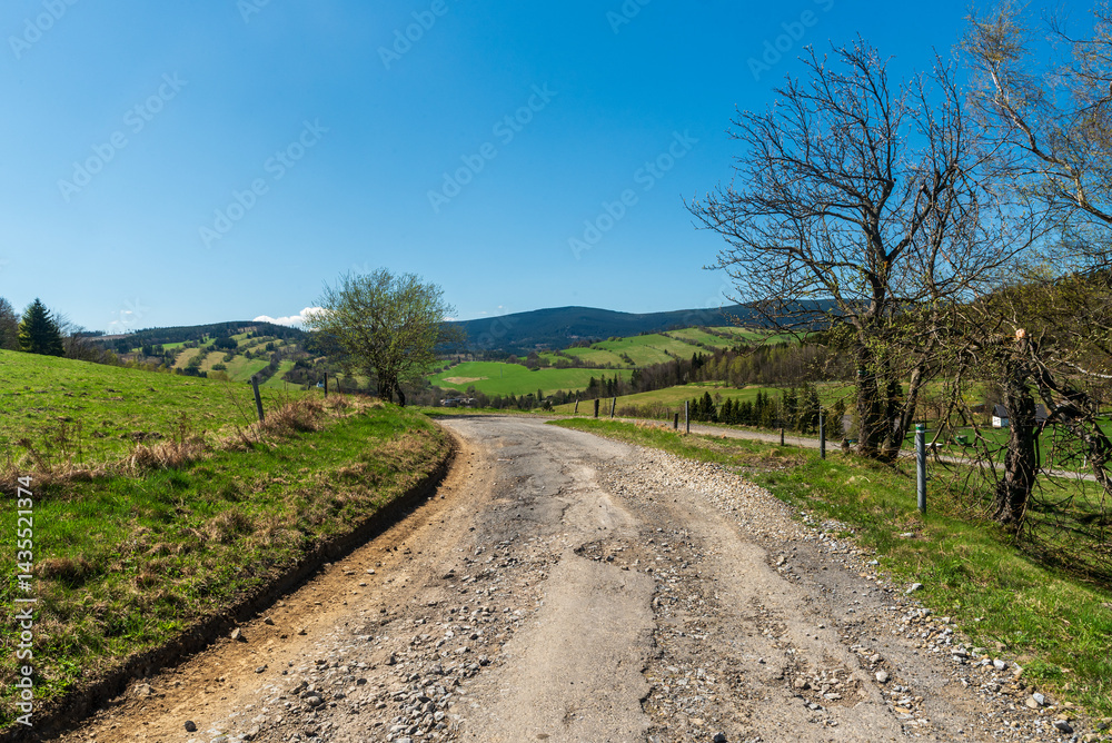 Naklejka premium Hilly surrounding of Hermanovice village in Czech republic - view from old road to Pramen Osoblahy in Czech republic
