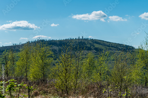 Fototapeta Naklejka Na Ścianę i Meble -  Biskupska kupa hill in Zlatohorska vrchovina mountains on czech-polish borders