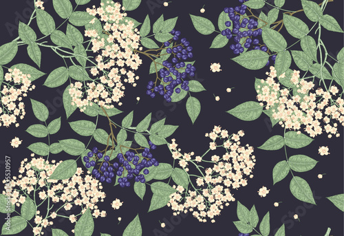 Elderflower seamless pattern. Elderberry, sambucus flowers and leaves on dark background. Vector illustration hand drawn.