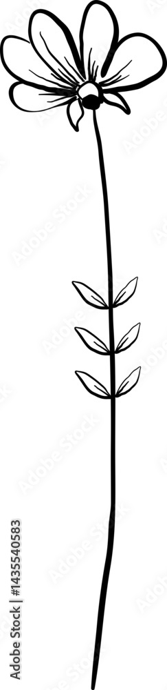 black and white flower hand drawing doodle