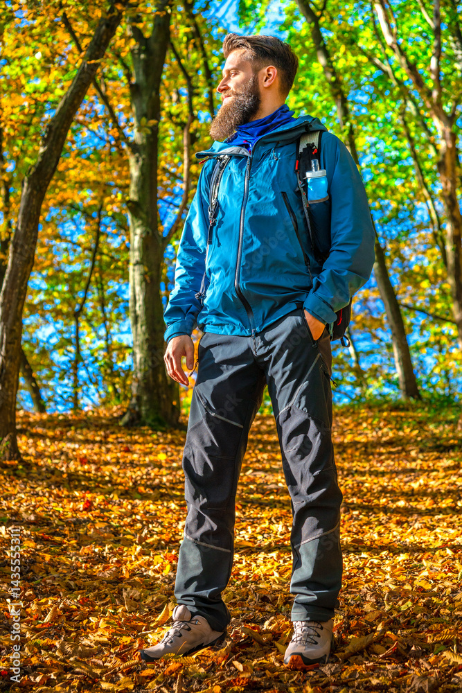 Bearded male hiker in a blue jacket and backpack walks through an autumn forest covered in golden leaves. Sunlight casts long shadows on the ground Bearded male hiker in a blue jacket and backpack walks through an autumn forest covered in golden leaves. Sunlight casts long shadows on the ground