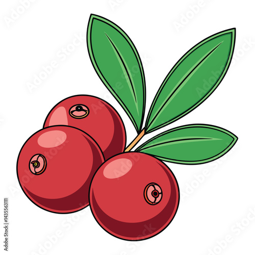 Cartoon illustration of three cranberries with leaves