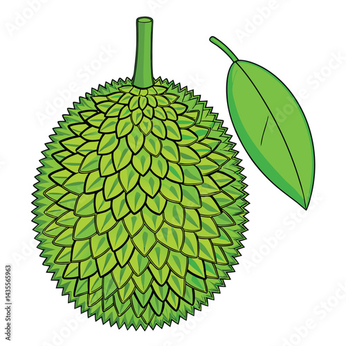 Tropical fruit with spiky skin and leaf