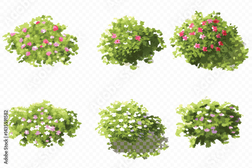 Six Watercolor Style Top View Flower Bushes Green Foliage