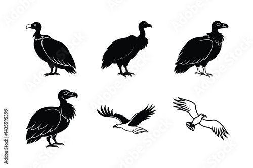 Airborne Vultures Vector Silhouette Artwork